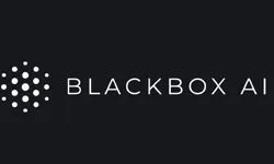 Blackbox AI